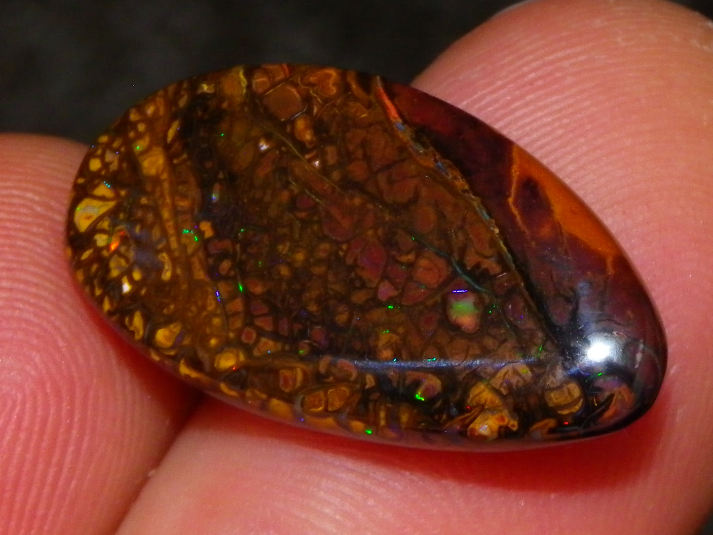 7 Nice Koroit Opal Cabs/Freeforms 96.9cts Green/Blues Patterns double sided Qld Au