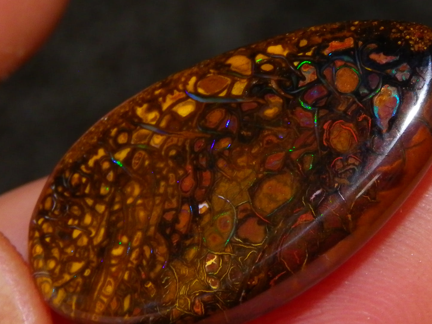 7 Nice Koroit Opal Cabs/Freeforms 96.9cts Green/Blues Patterns double sided Qld Au