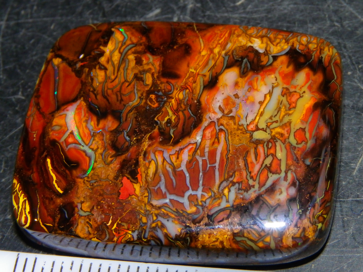 Nice Quality Koroit Opal Cab/Freeform 80.04cts AA Patterns Slight Fires Queensland Australia