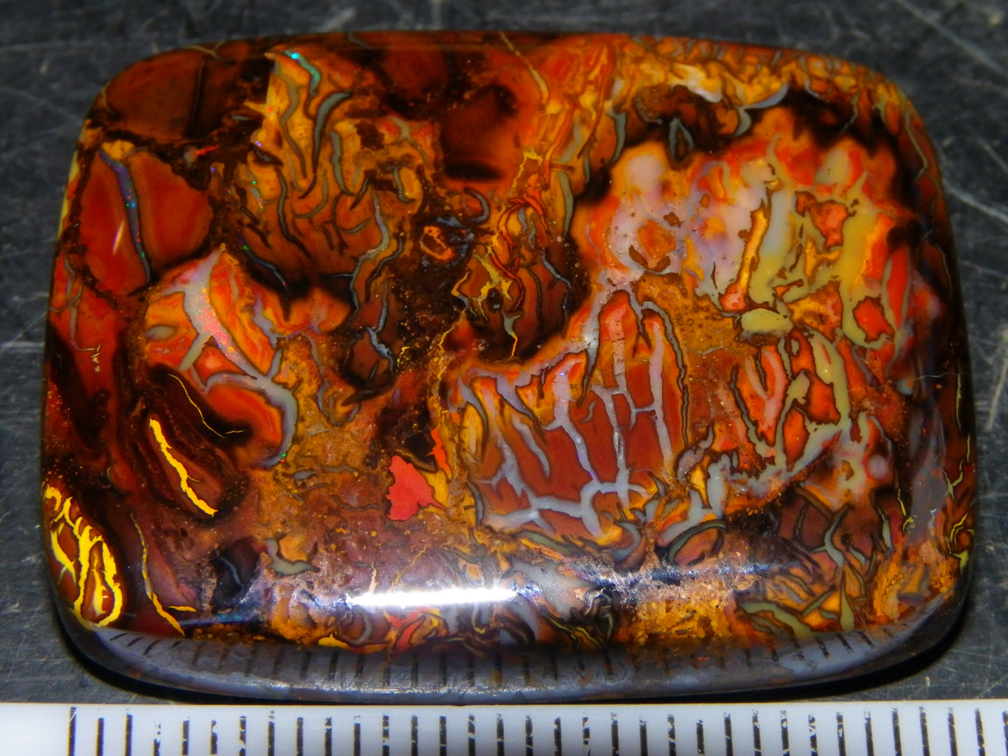 Nice Quality Koroit Opal Cab/Freeform 80.04cts AA Patterns Slight Fires Queensland Australia
