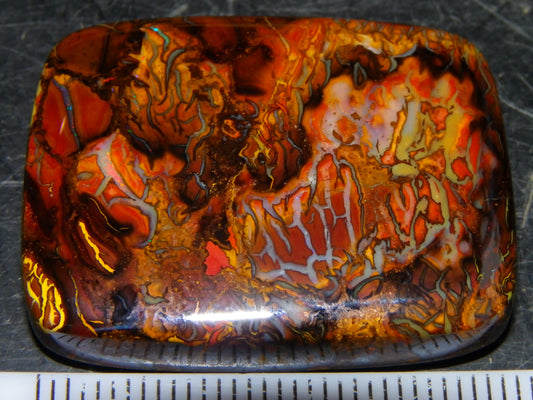 Nice Quality Koroit Opal Cab/Freeform 80.04cts AA Patterns Slight Fires Queensland Australia