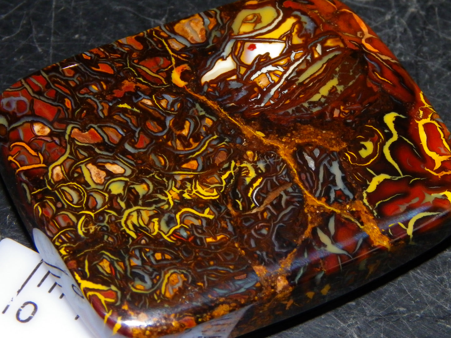 Nice Quality Koroit Opal Cab/Freeform 80.04cts AA Patterns Slight Fires Queensland Australia