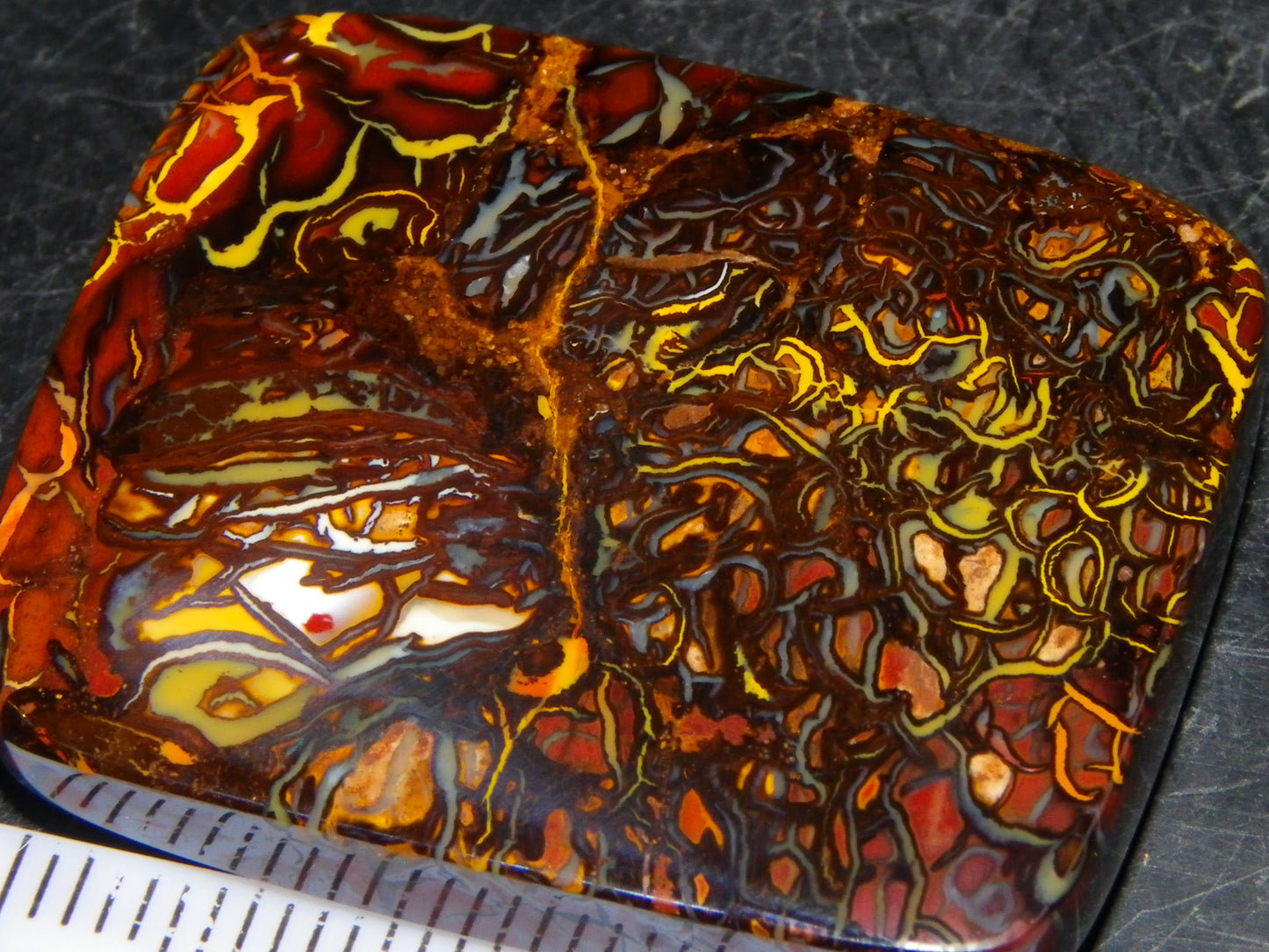 Nice Quality Koroit Opal Cab/Freeform 80.04cts AA Patterns Slight Fires Queensland Australia