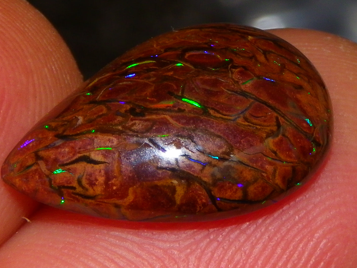 7 Nice Koroit Opal Cabs/Freeforms 96.9cts Green/Blues Patterns double sided Qld Au