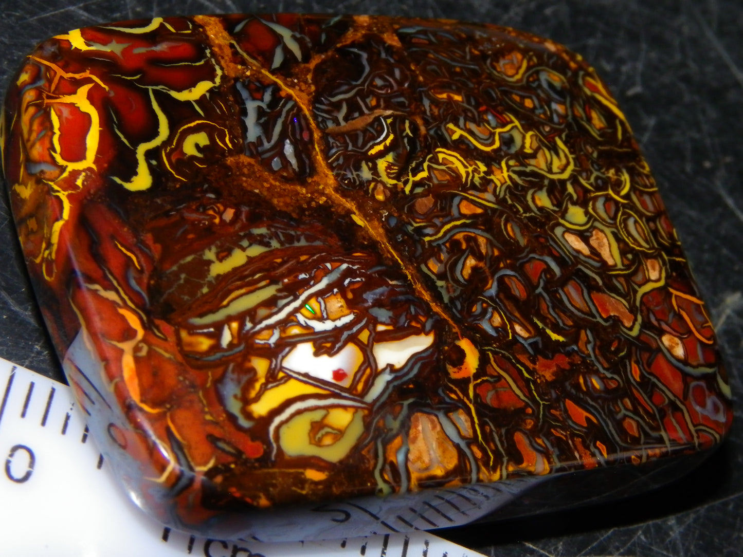 Nice Quality Koroit Opal Cab/Freeform 80.04cts AA Patterns Slight Fires Queensland Australia