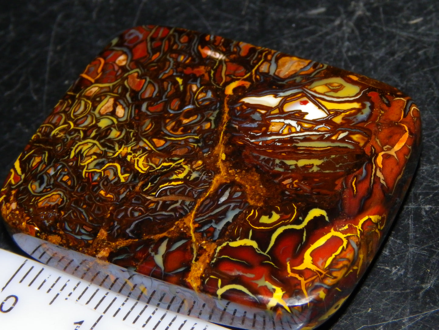 Nice Quality Koroit Opal Cab/Freeform 80.04cts AA Patterns Slight Fires Queensland Australia