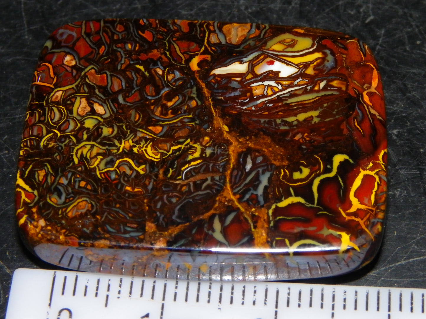 Nice Quality Koroit Opal Cab/Freeform 80.04cts AA Patterns Slight Fires Queensland Australia