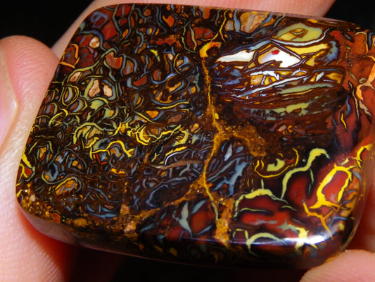 Nice Quality Koroit Opal Cab/Freeform 80.04cts AA Patterns Slight Fires Queensland Australia