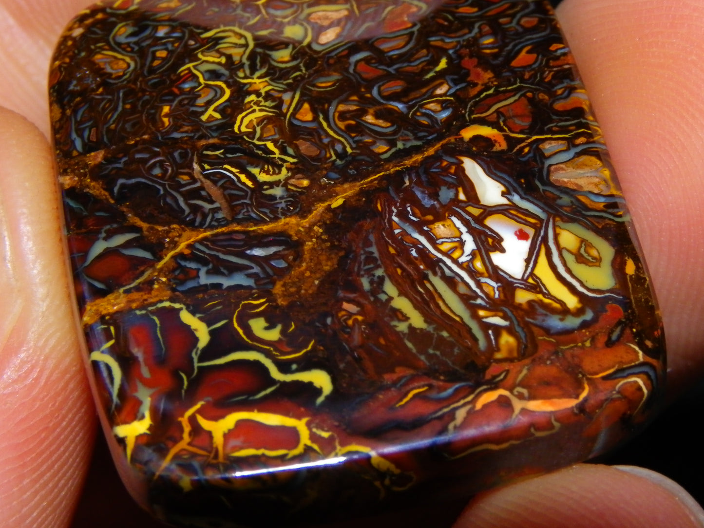 Nice Quality Koroit Opal Cab/Freeform 80.04cts AA Patterns Slight Fires Queensland Australia