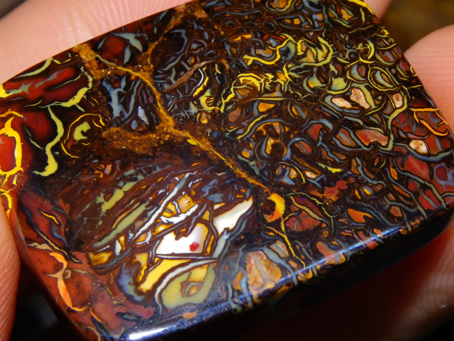 Nice Quality Koroit Opal Cab/Freeform 80.04cts AA Patterns Slight Fires Queensland Australia