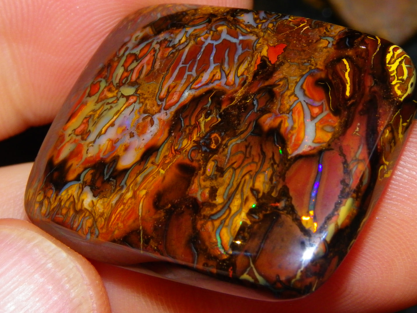 Nice Quality Koroit Opal Cab/Freeform 80.04cts AA Patterns Slight Fires Queensland Australia