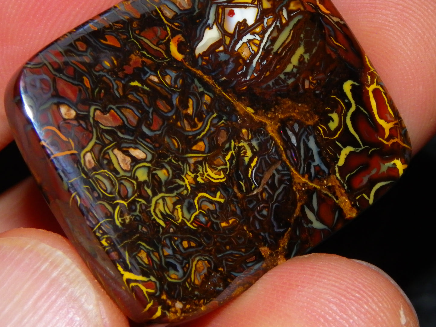 Nice Quality Koroit Opal Cab/Freeform 80.04cts AA Patterns Slight Fires Queensland Australia
