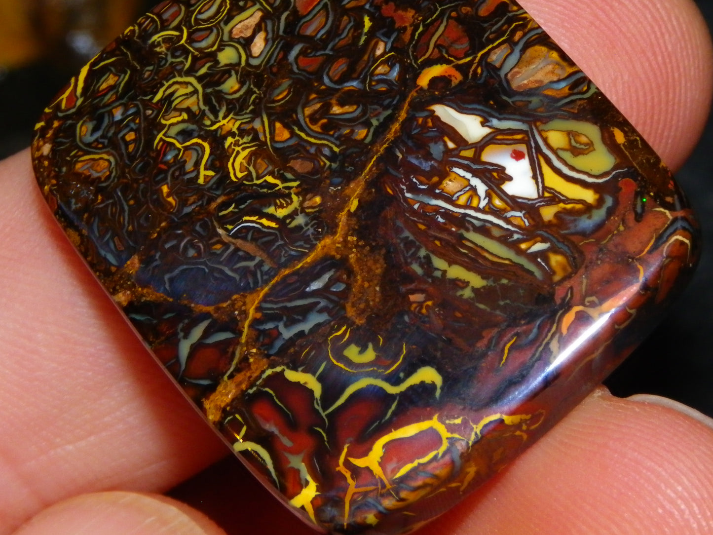 Nice Quality Koroit Opal Cab/Freeform 80.04cts AA Patterns Slight Fires Queensland Australia