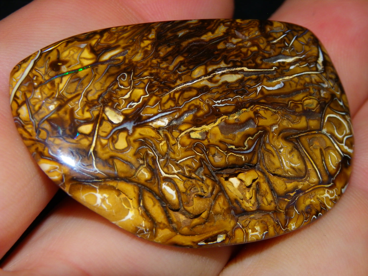 3 Nice Cut/Polished Koroit Opals 263cts Patterns/Some Fires Queensland Australia