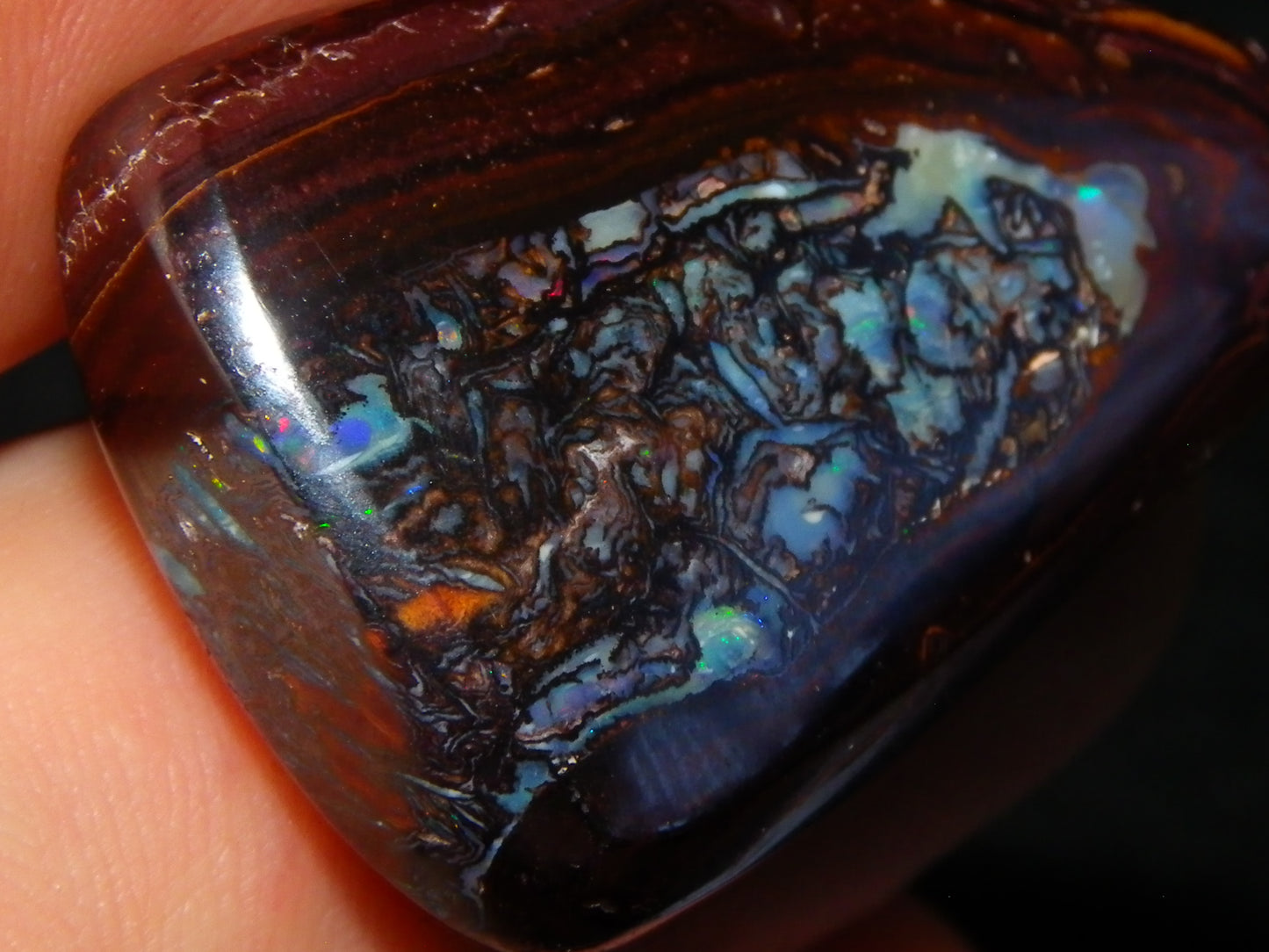 3 Nice Cut/Polished Koroit Opals 263cts Patterns/Some Fires Queensland Australia