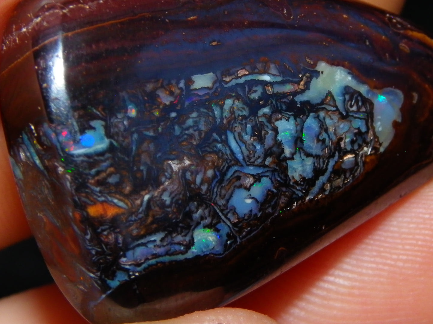 3 Nice Cut/Polished Koroit Opals 263cts Patterns/Some Fires Queensland Australia