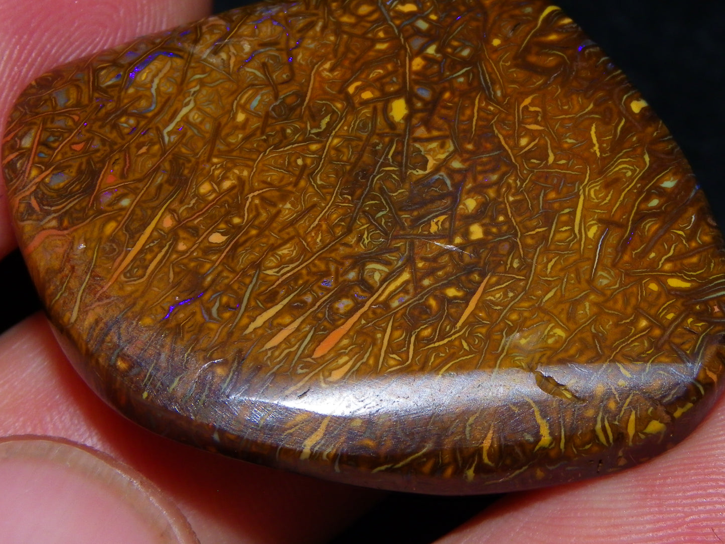3 Nice Cut/Polished Koroit Opals 263cts Patterns/Some Fires Queensland Australia