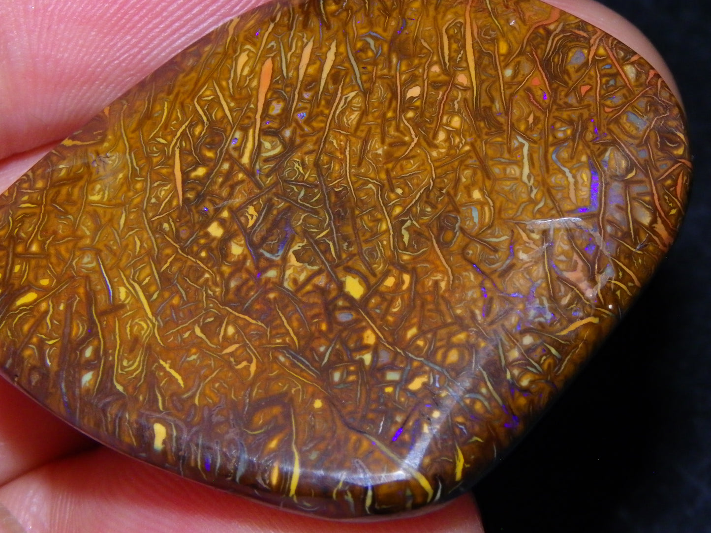 3 Nice Cut/Polished Koroit Opals 263cts Patterns/Some Fires Queensland Australia