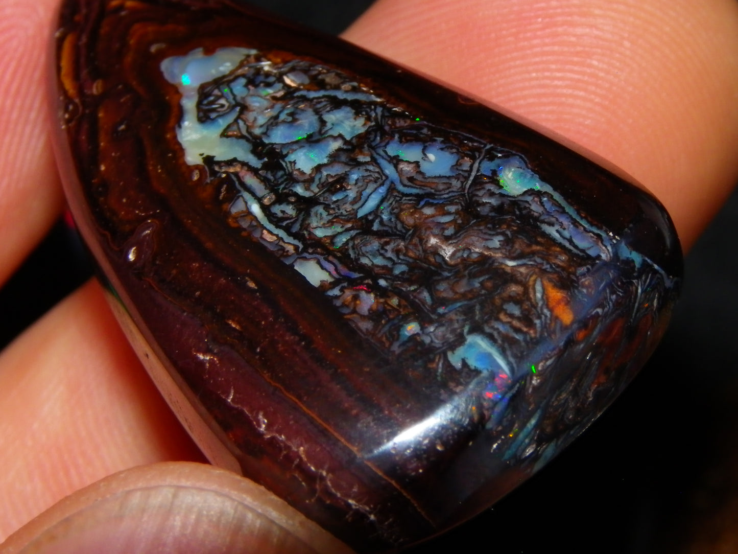 3 Nice Cut/Polished Koroit Opals 263cts Patterns/Some Fires Queensland Australia