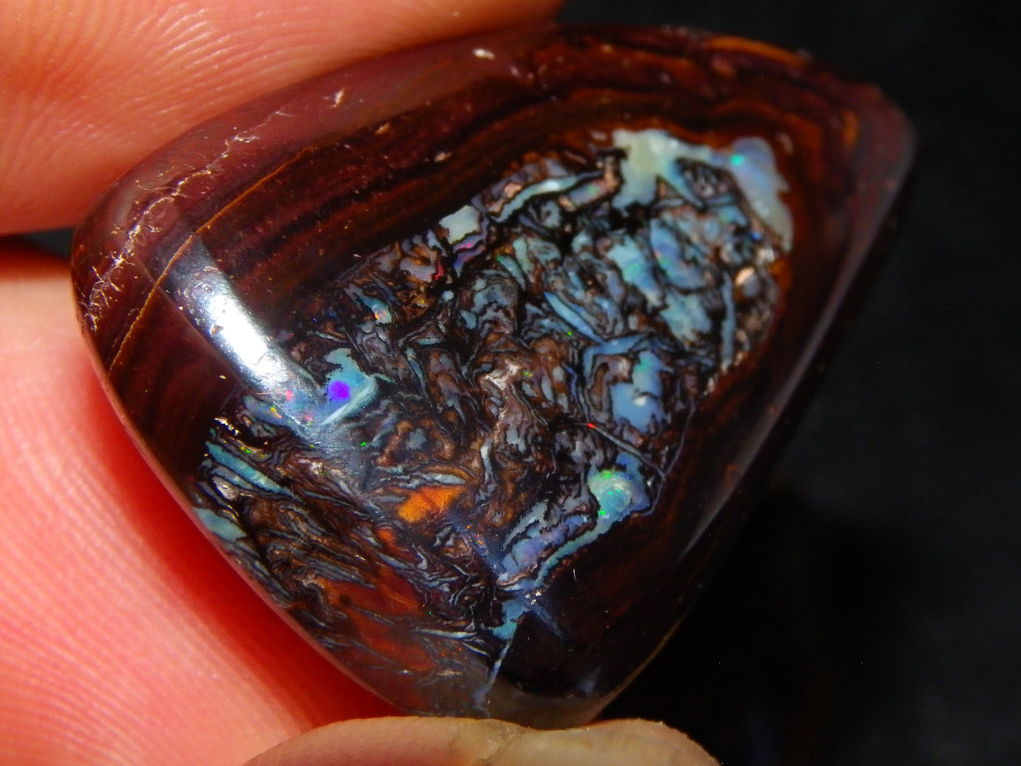 3 Nice Cut/Polished Koroit Opals 263cts Patterns/Some Fires Queensland Australia