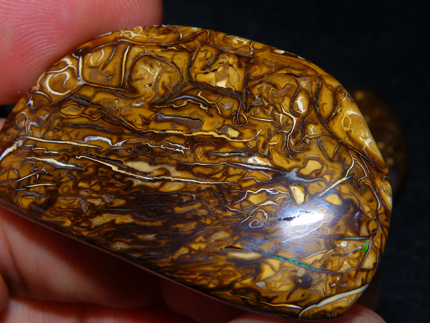 3 Nice Cut/Polished Koroit Opals 263cts Patterns/Some Fires Queensland Australia