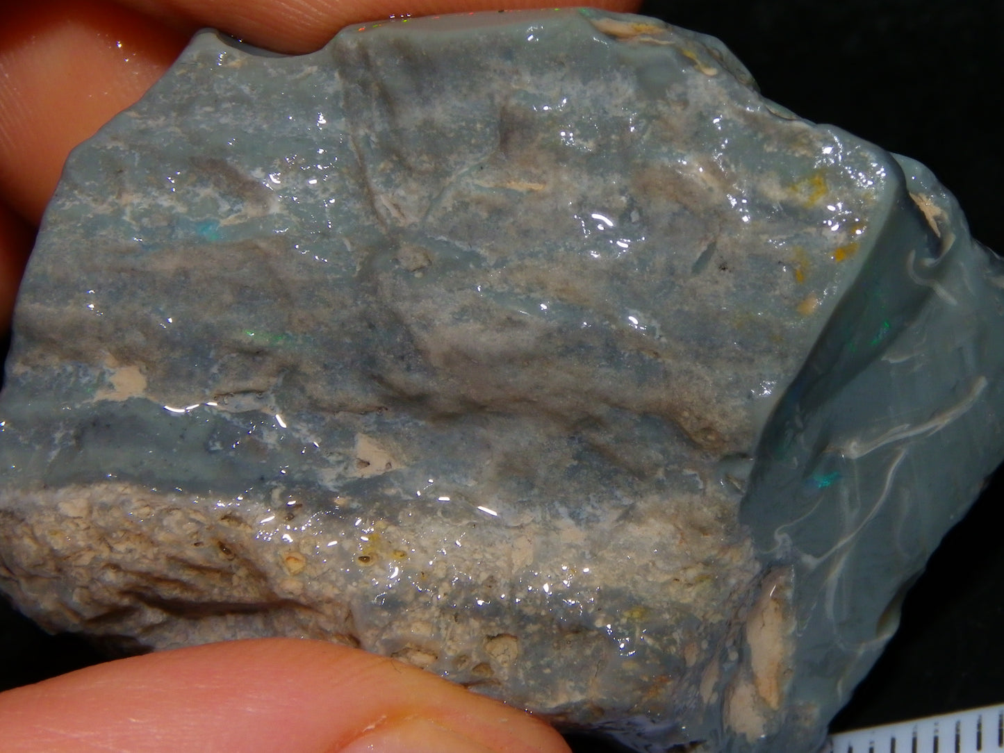 Nice Large Rough Opal Specimen 131cts Lightning Ridge Green/Blues in Grey Base