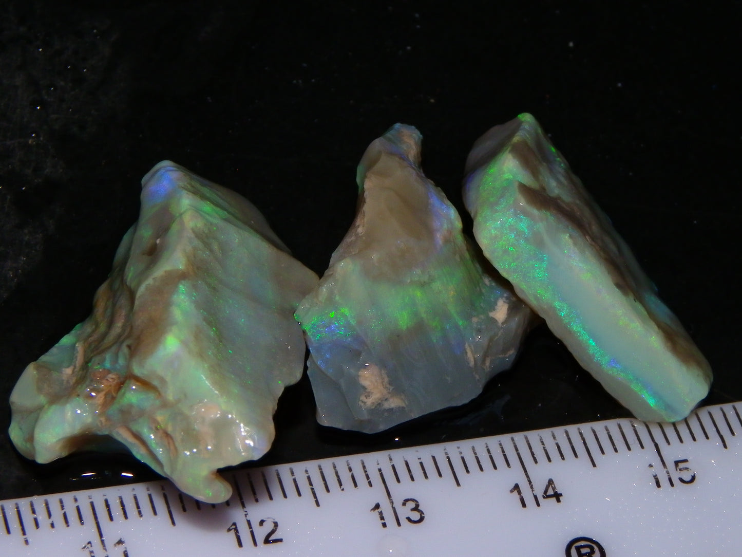 3 Nice Rough Lightning Ridge Opals 55cts Green/Blue Crystal/Grey Base Fires Au