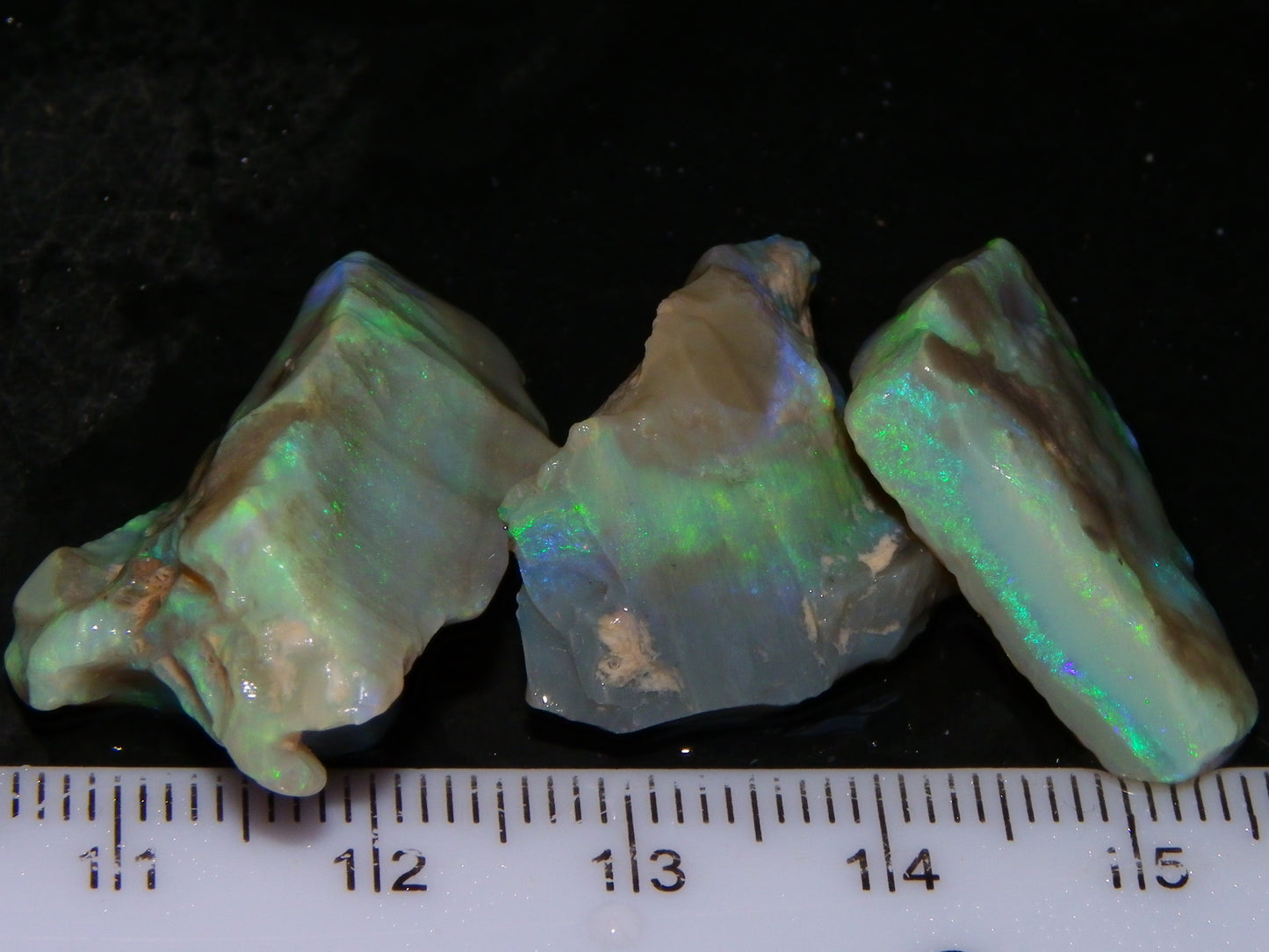 3 Nice Rough Lightning Ridge Opals 55cts Green/Blue Crystal/Grey Base Fires Au