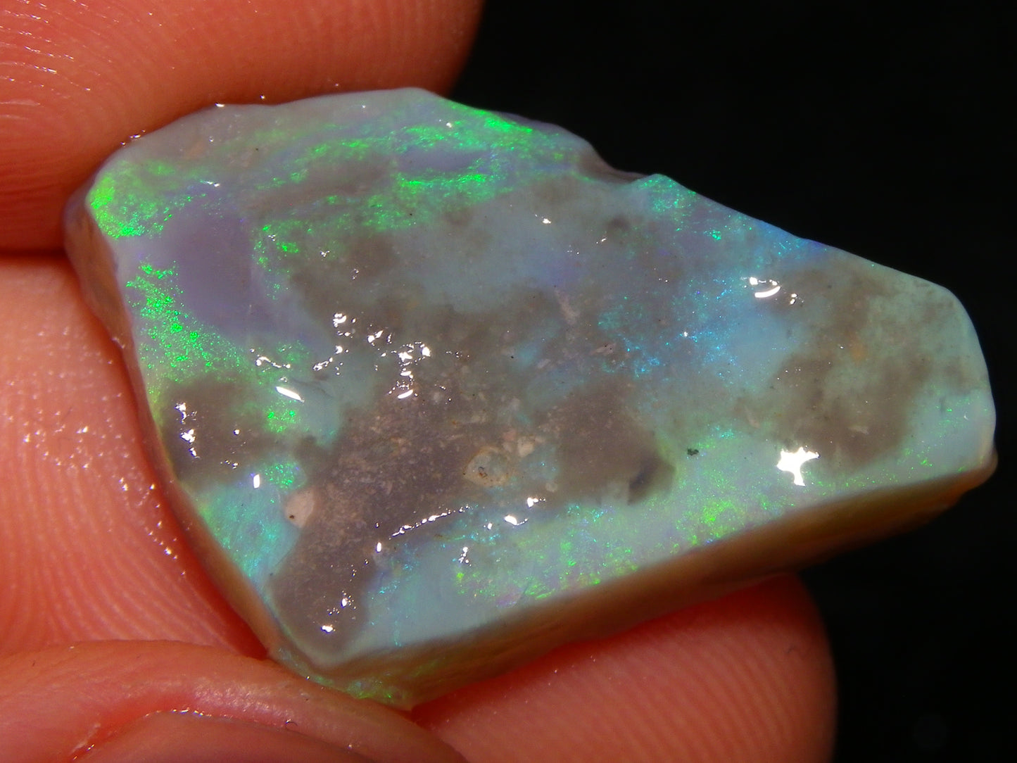 3 Nice Rough Lightning Ridge Opals 55cts Green/Blue Crystal/Grey Base Fires Au