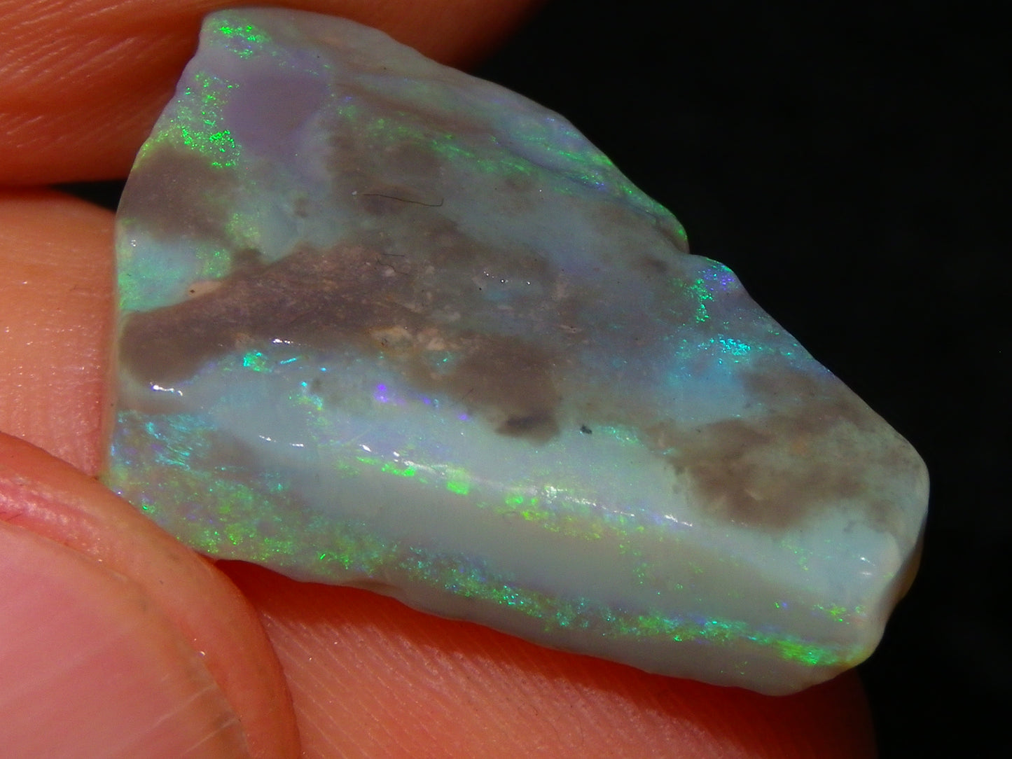 3 Nice Rough Lightning Ridge Opals 55cts Green/Blue Crystal/Grey Base Fires Au