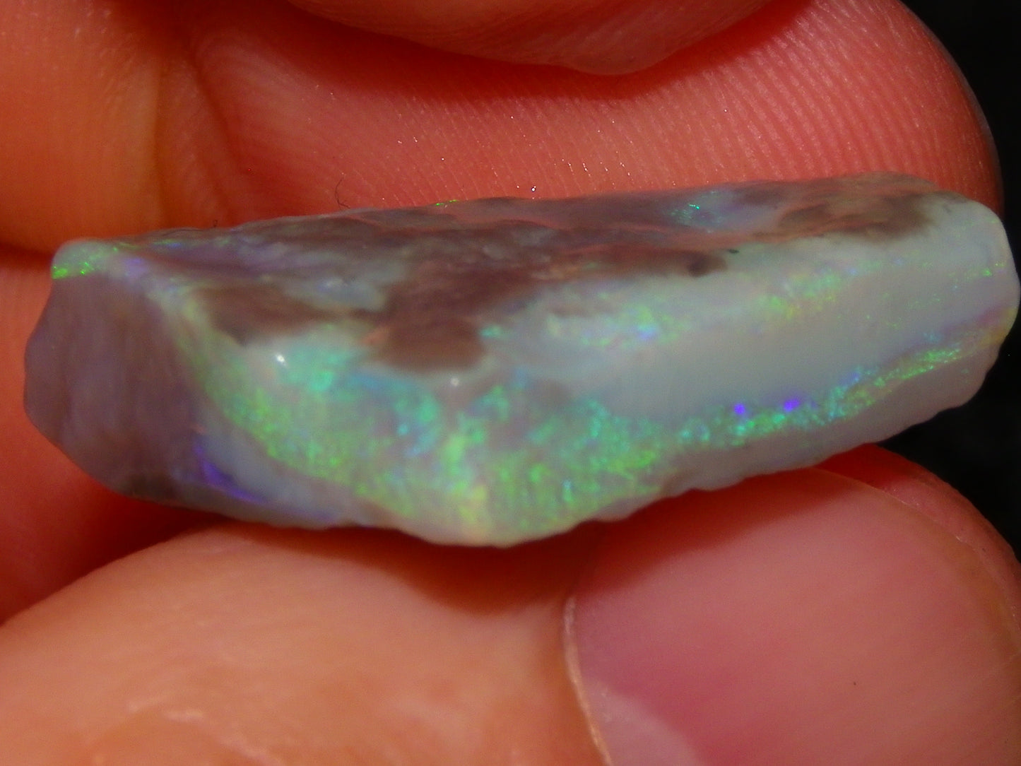 3 Nice Rough Lightning Ridge Opals 55cts Green/Blue Crystal/Grey Base Fires Au