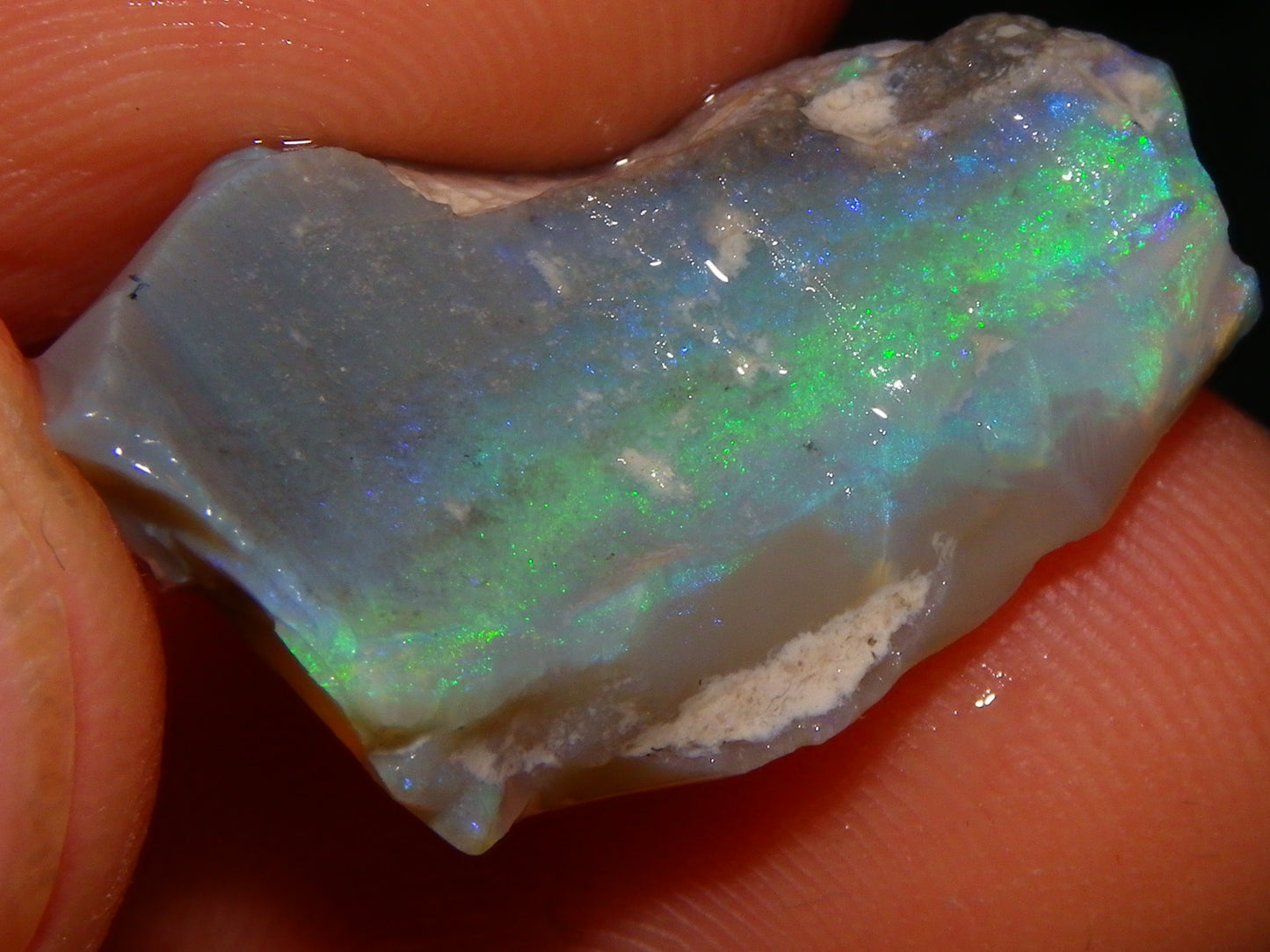 3 Nice Rough Lightning Ridge Opals 55cts Green/Blue Crystal/Grey Base Fires Au