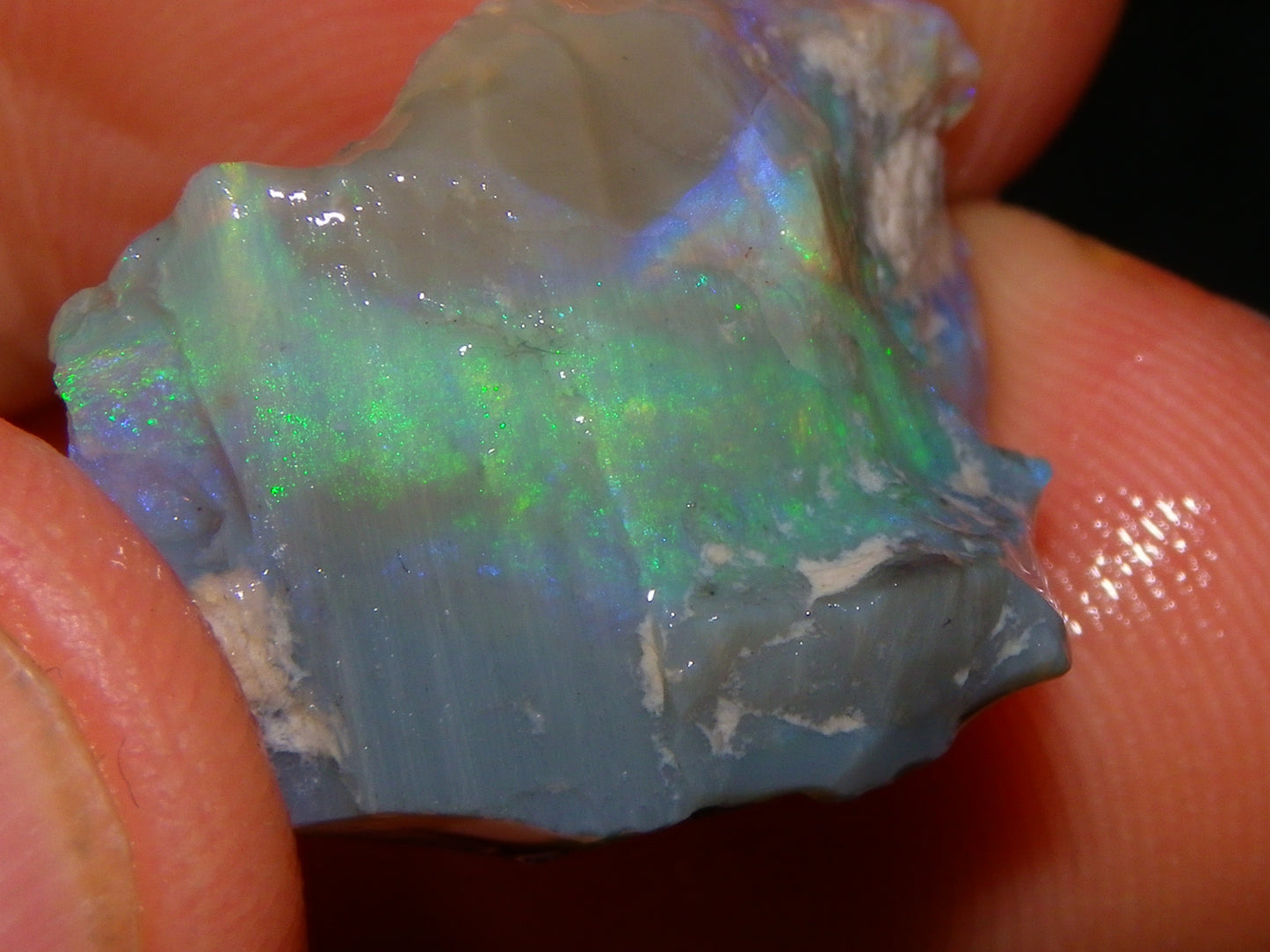 3 Nice Rough Lightning Ridge Opals 55cts Green/Blue Crystal/Grey Base Fires Au