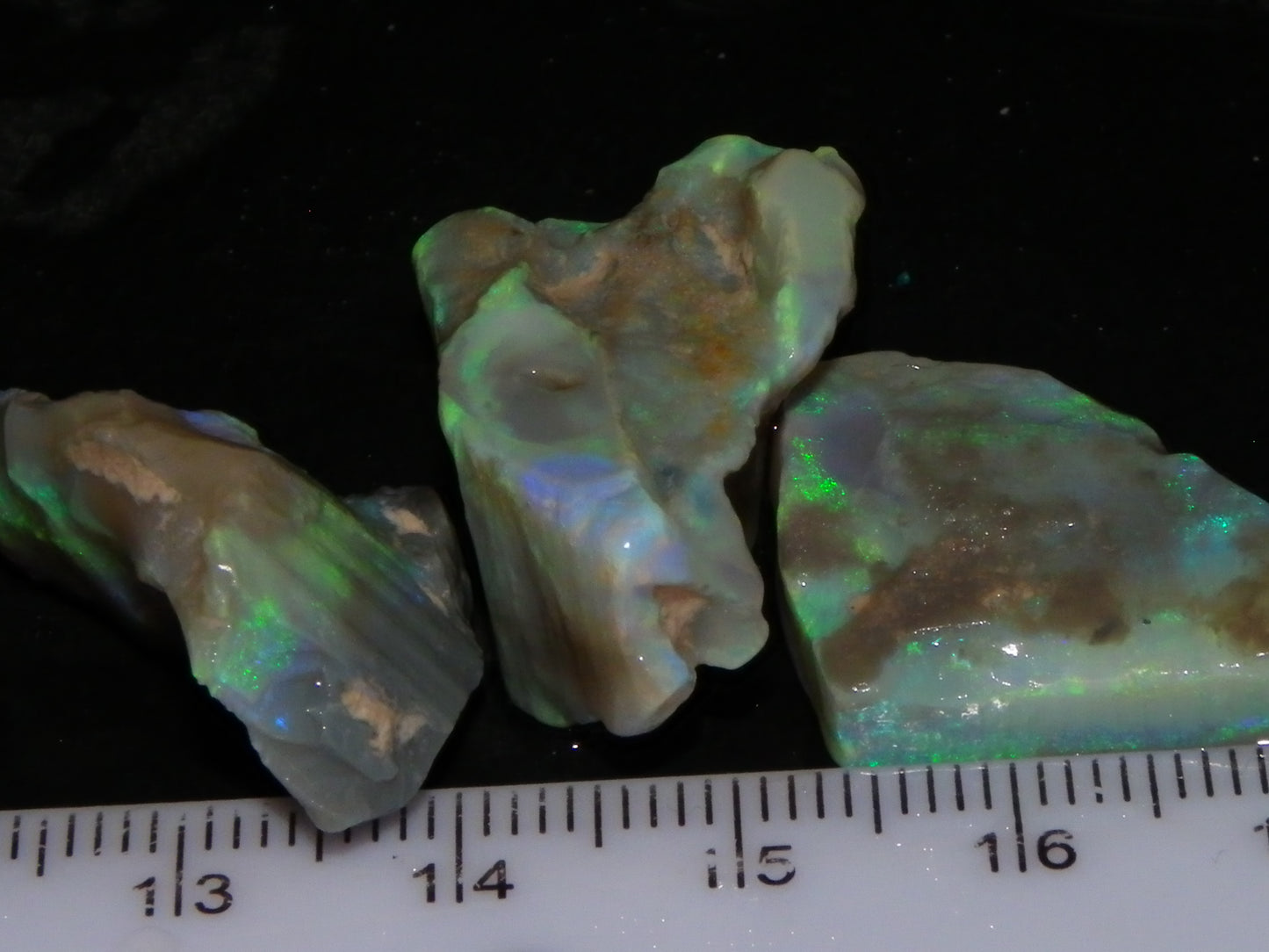 3 Nice Rough Lightning Ridge Opals 55cts Green/Blue Crystal/Grey Base Fires Au