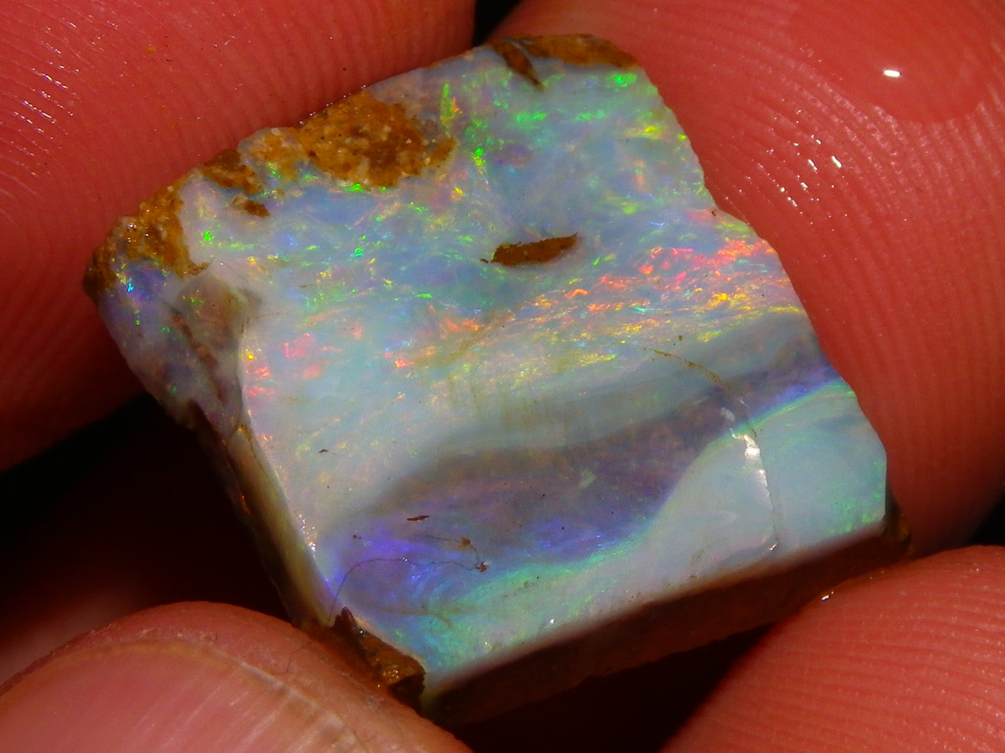 Nice Rough/Rubbed/Sliced Boulder Opal Parcel 113.4cts Queensland Australia Au