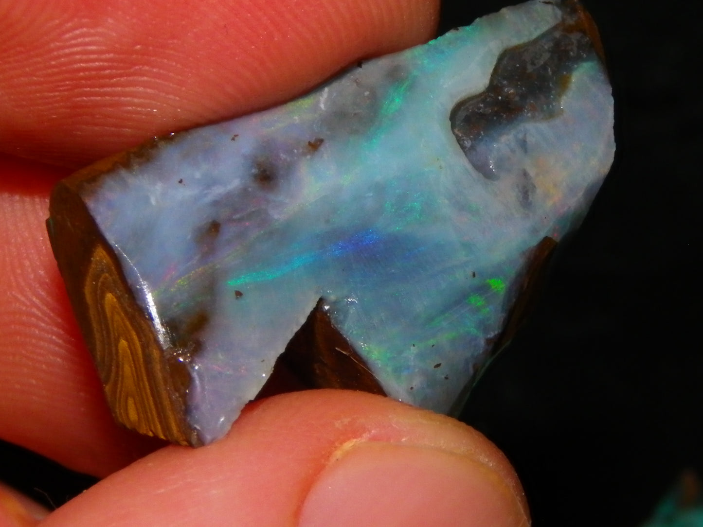 Nice Rough/Rubbed/Sliced Boulder Opal Parcel 113.4cts Queensland Australia Au