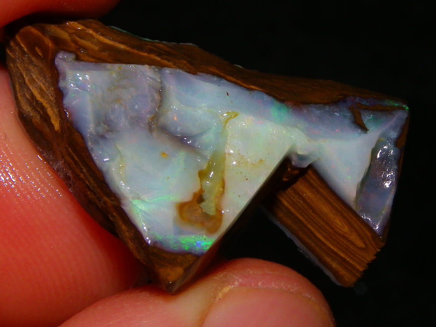 Nice Rough/Rubbed/Sliced Boulder Opal Parcel 113.4cts Queensland Australia Au