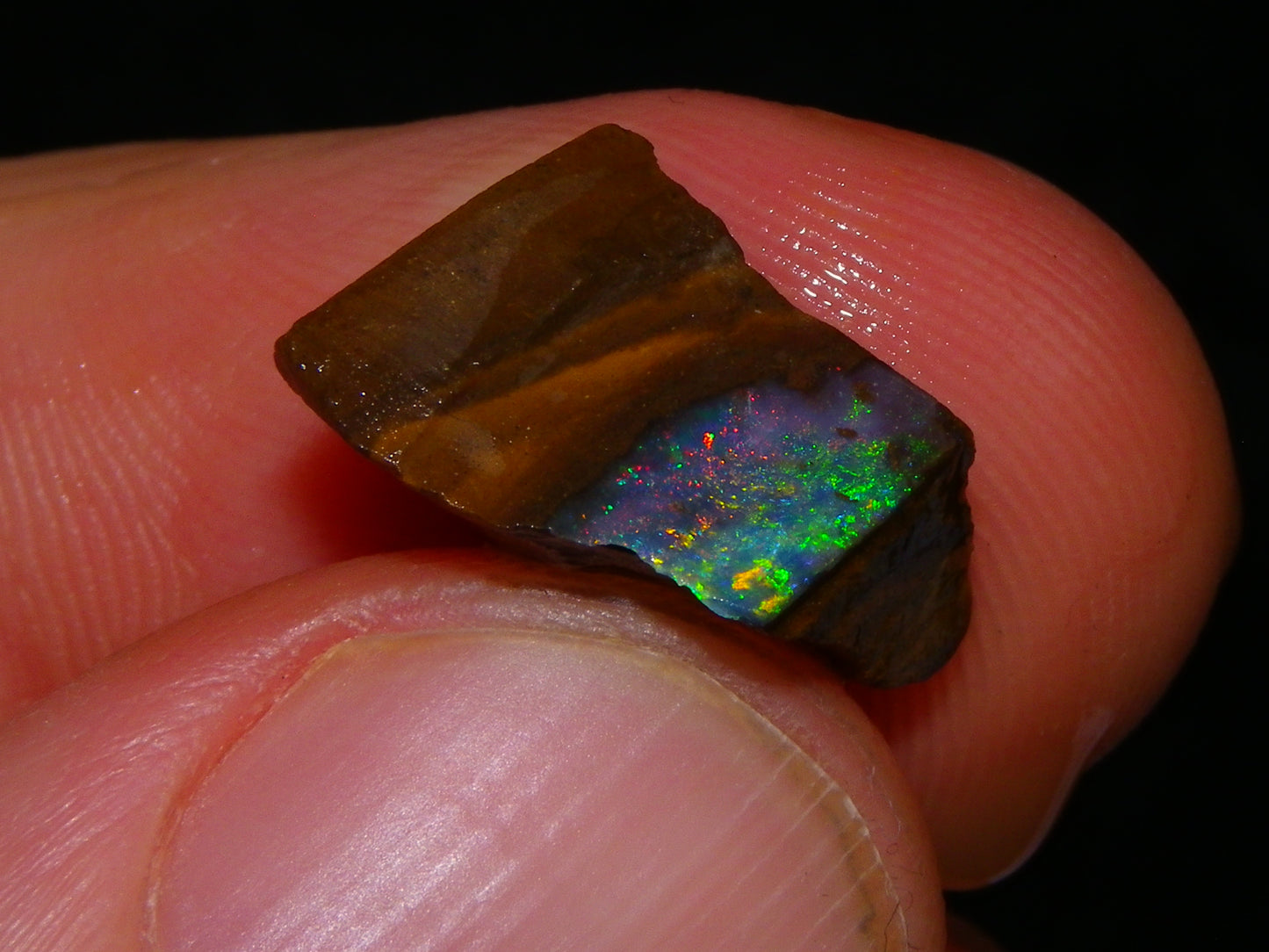 Nice Rough/Rubbed/Sliced Boulder Opal Parcel 113.4cts Queensland Australia Au