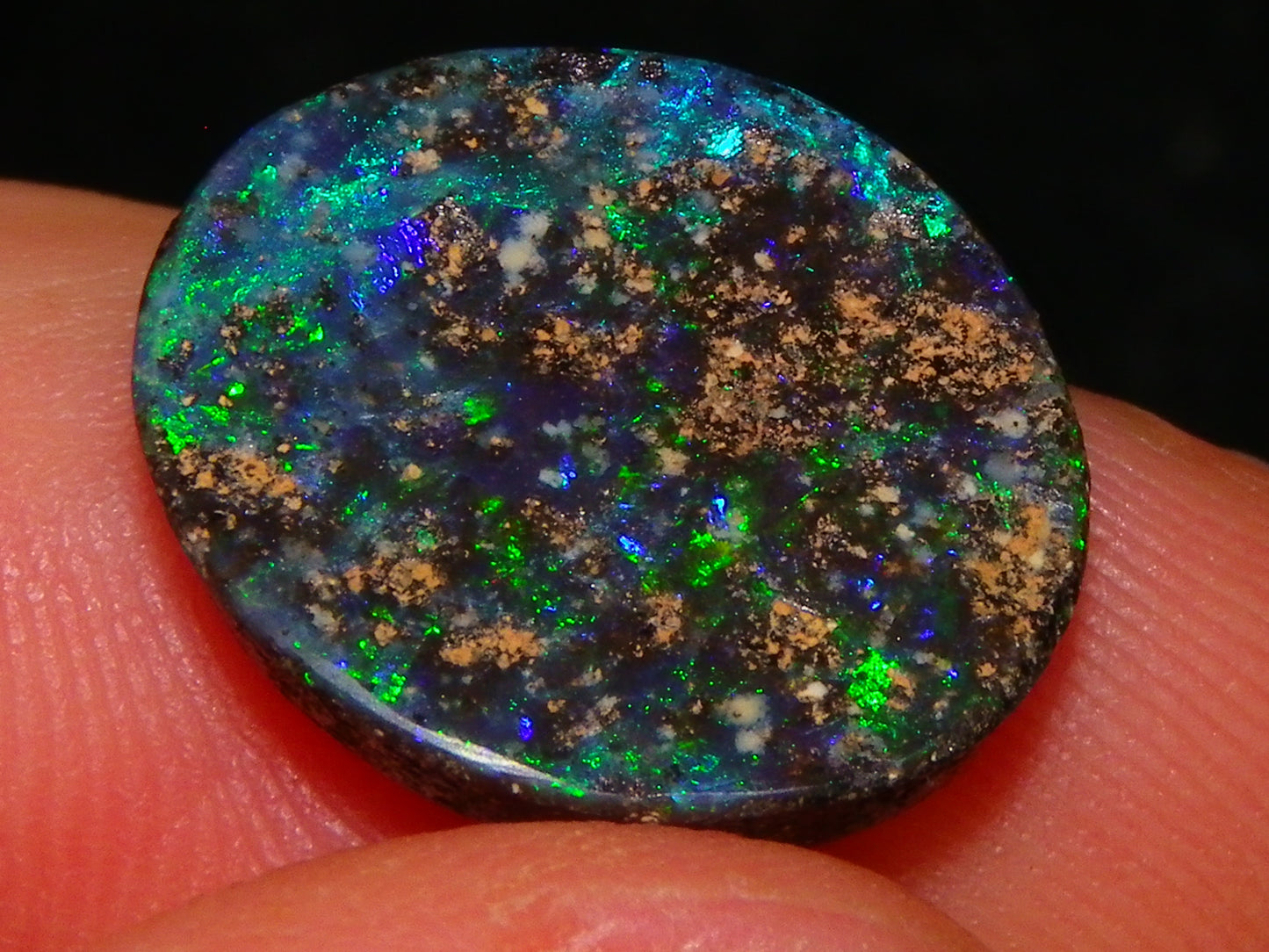 2 Cut/Polished Opal Cabs 21.15cts Koroit/Winton Queensland Australia