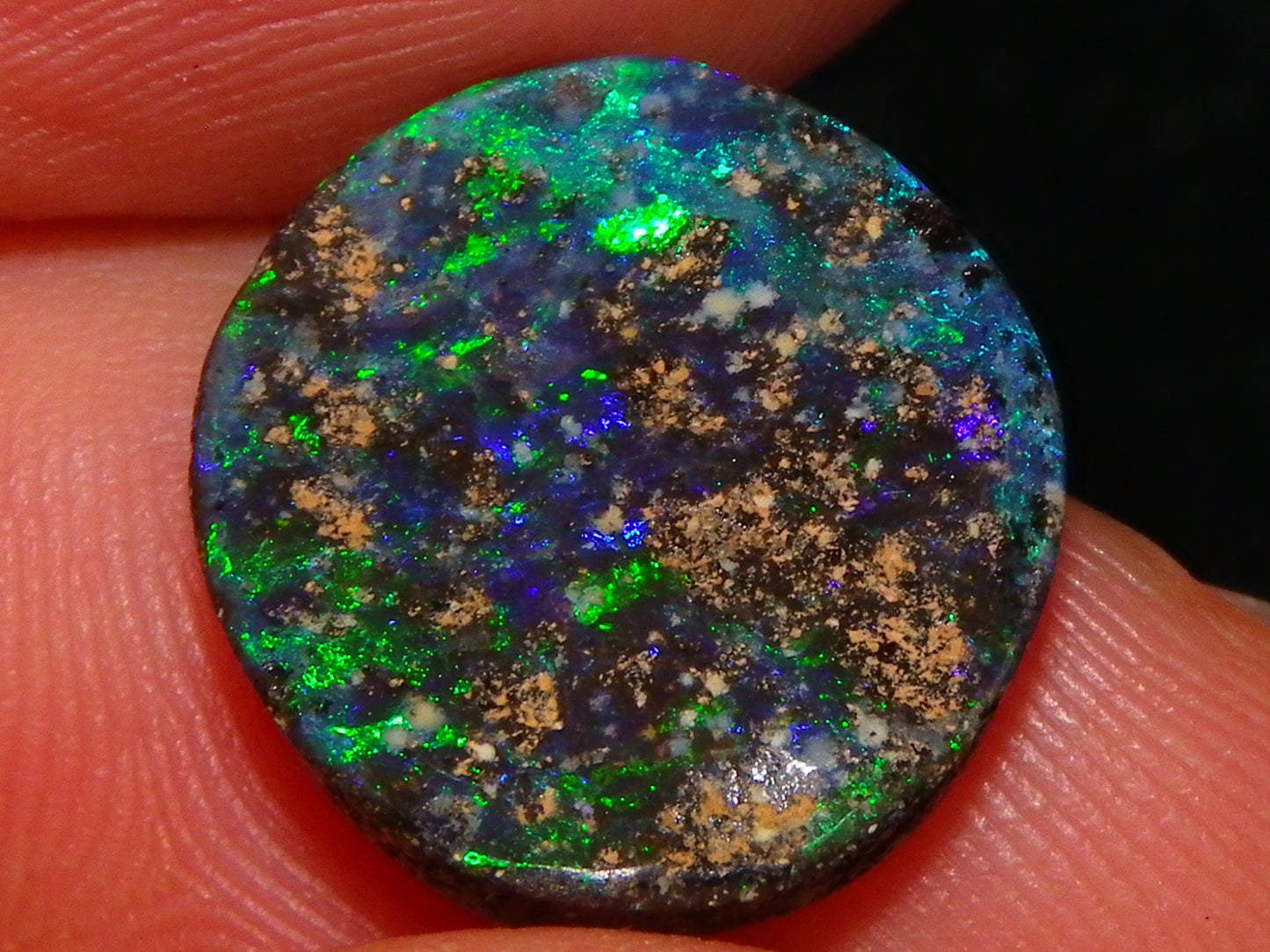 2 Cut/Polished Opal Cabs 21.15cts Koroit/Winton Queensland Australia