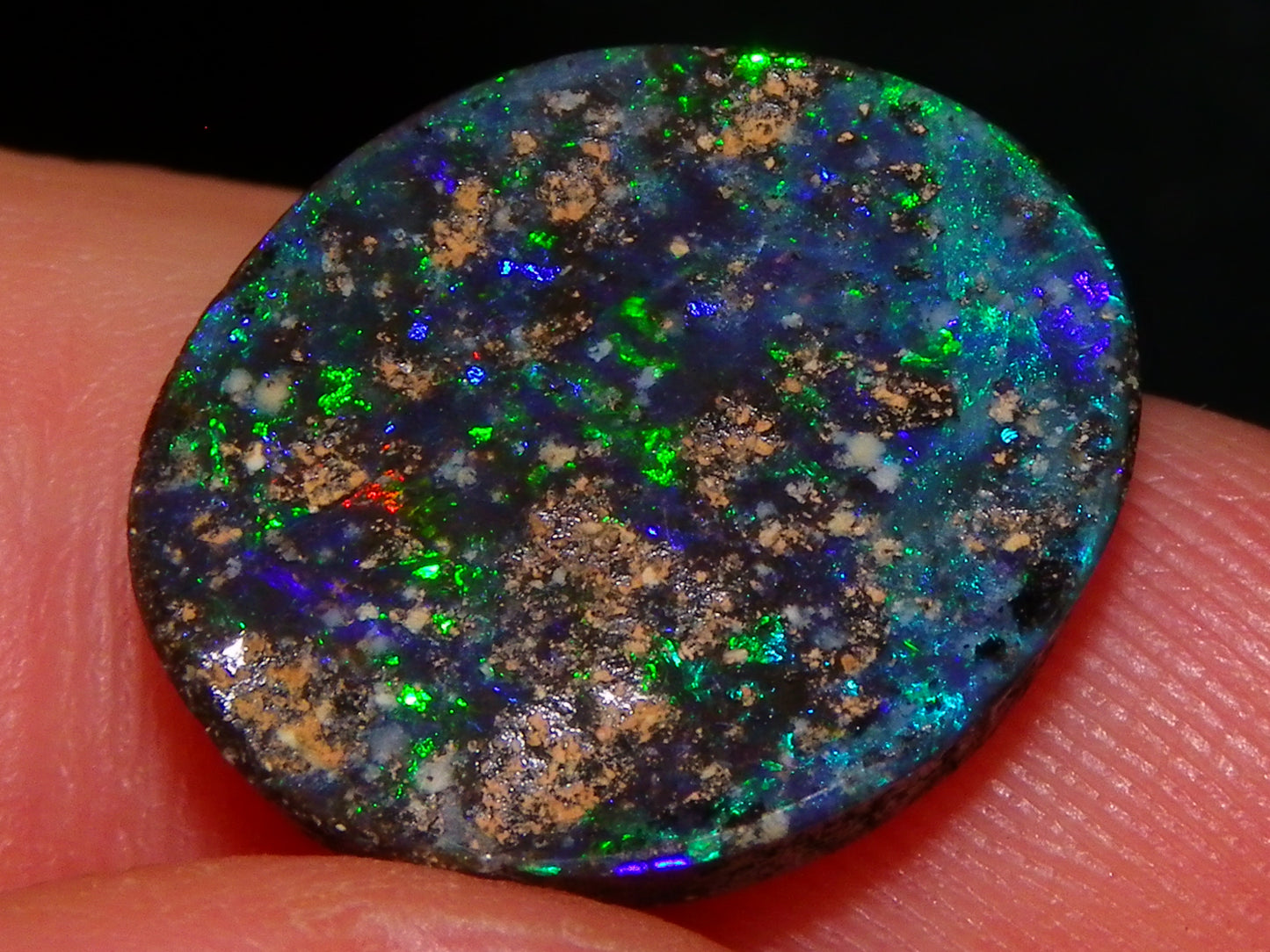 2 Cut/Polished Opal Cabs 21.15cts Koroit/Winton Queensland Australia