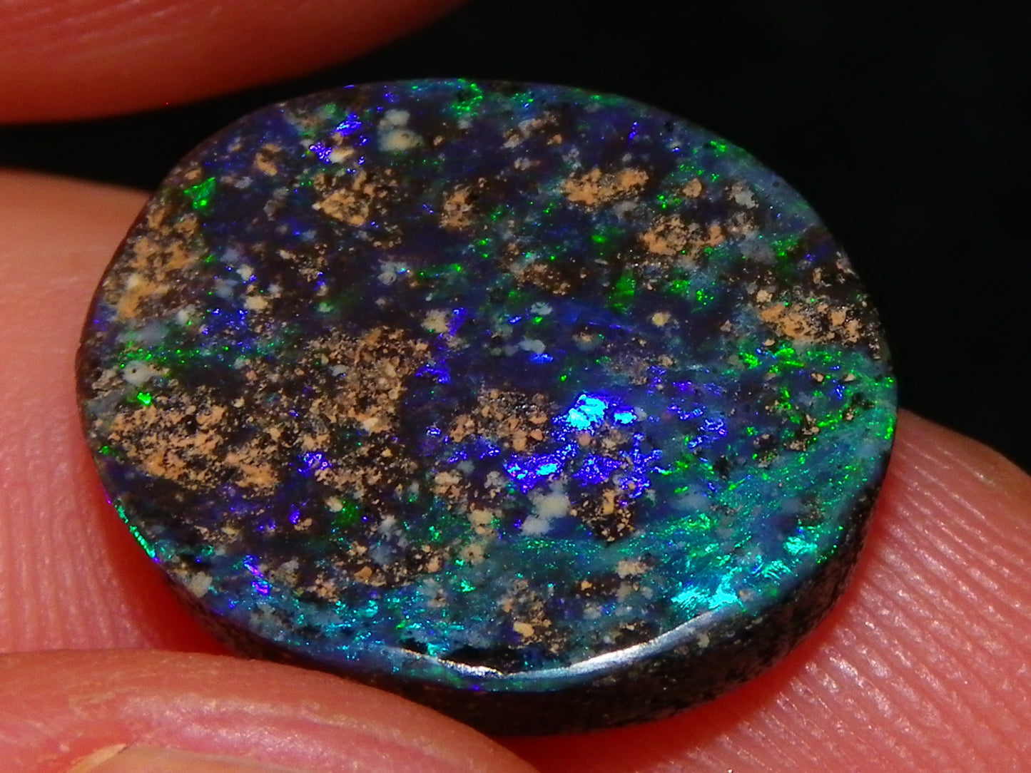 2 Cut/Polished Opal Cabs 21.15cts Koroit/Winton Queensland Australia