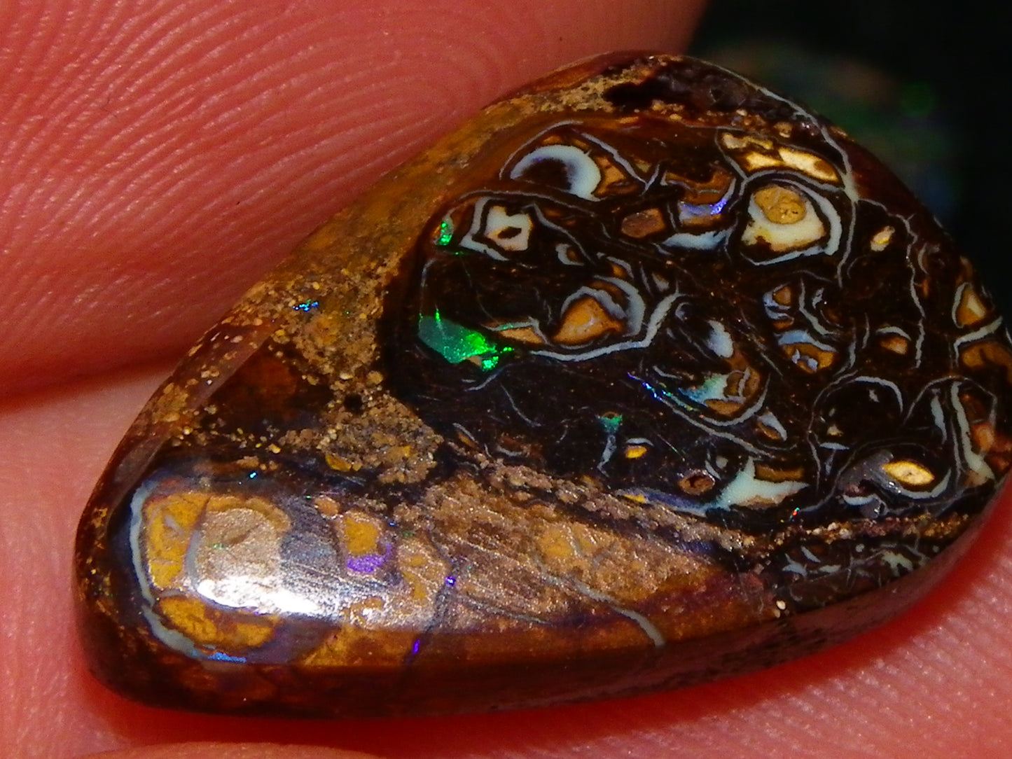 2 Cut/Polished Opal Cabs 21.15cts Koroit/Winton Queensland Australia