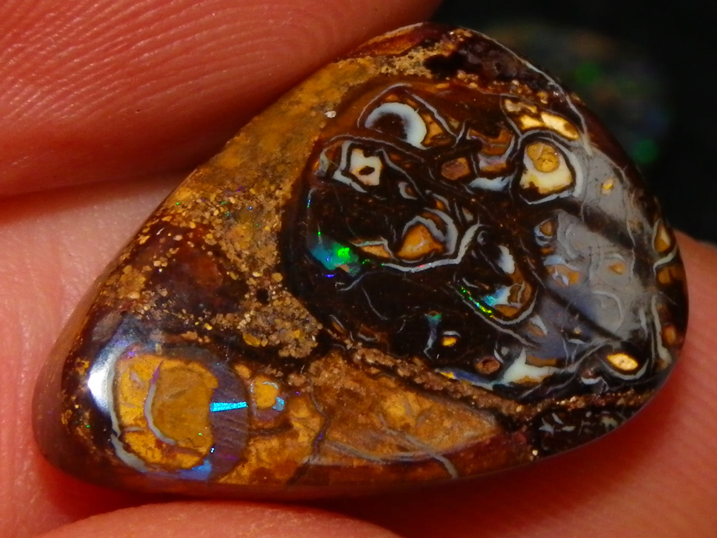 2 Cut/Polished Opal Cabs 21.15cts Koroit/Winton Queensland Australia