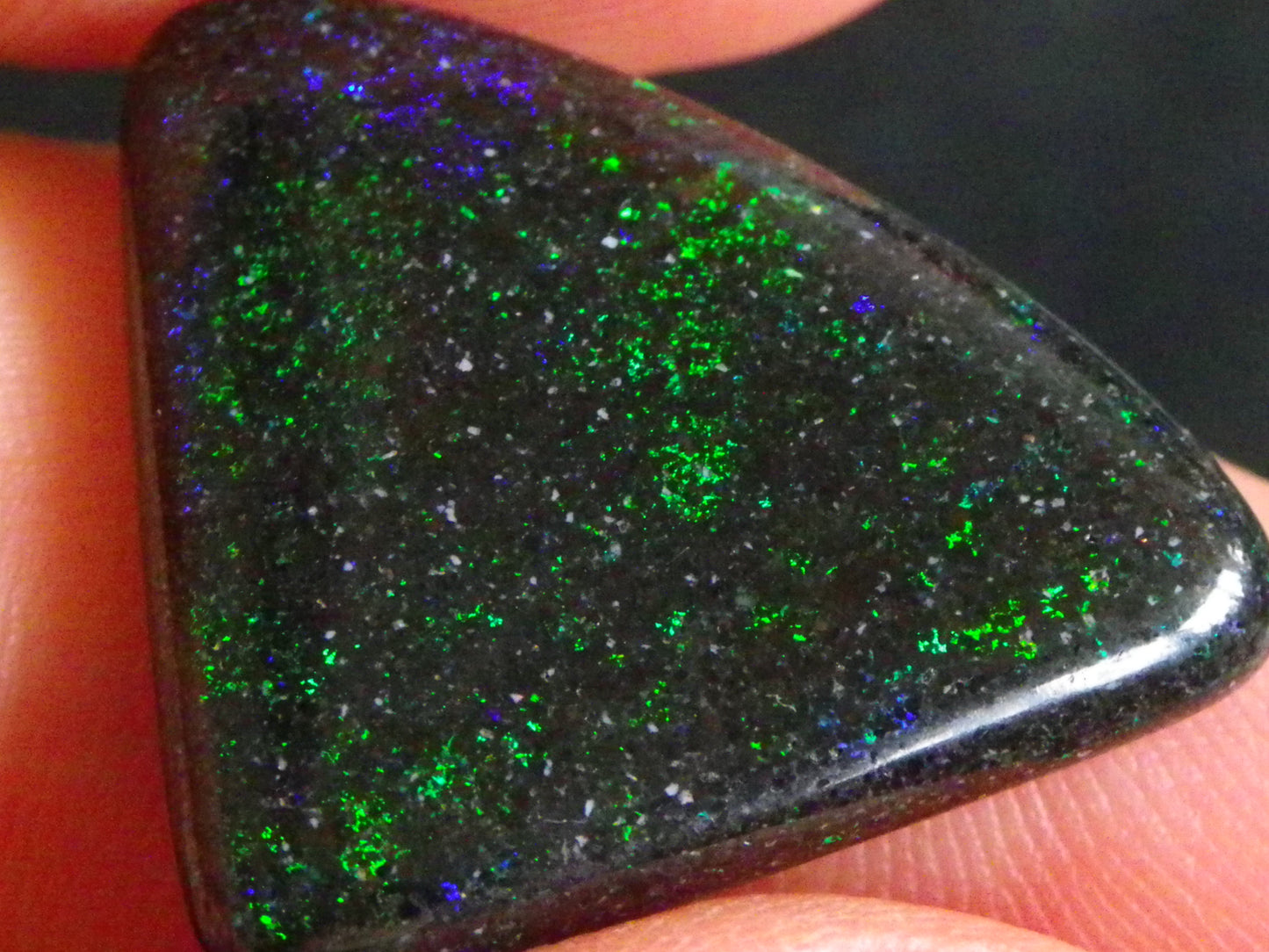 2 Nice Quality Andamooka Matrix Opal Cabs 16.2cts Blue/Green/red Fires Mixed Freeforms