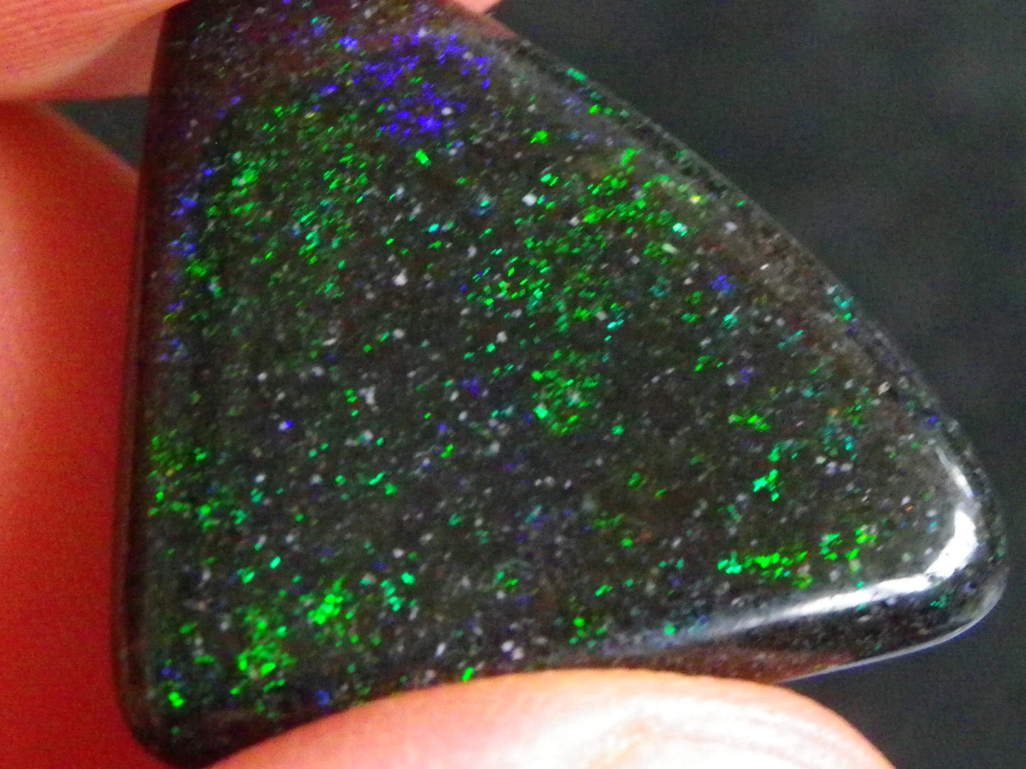 2 Nice Quality Andamooka Matrix Opal Cabs 16.2cts Blue/Green/red Fires Mixed Freeforms