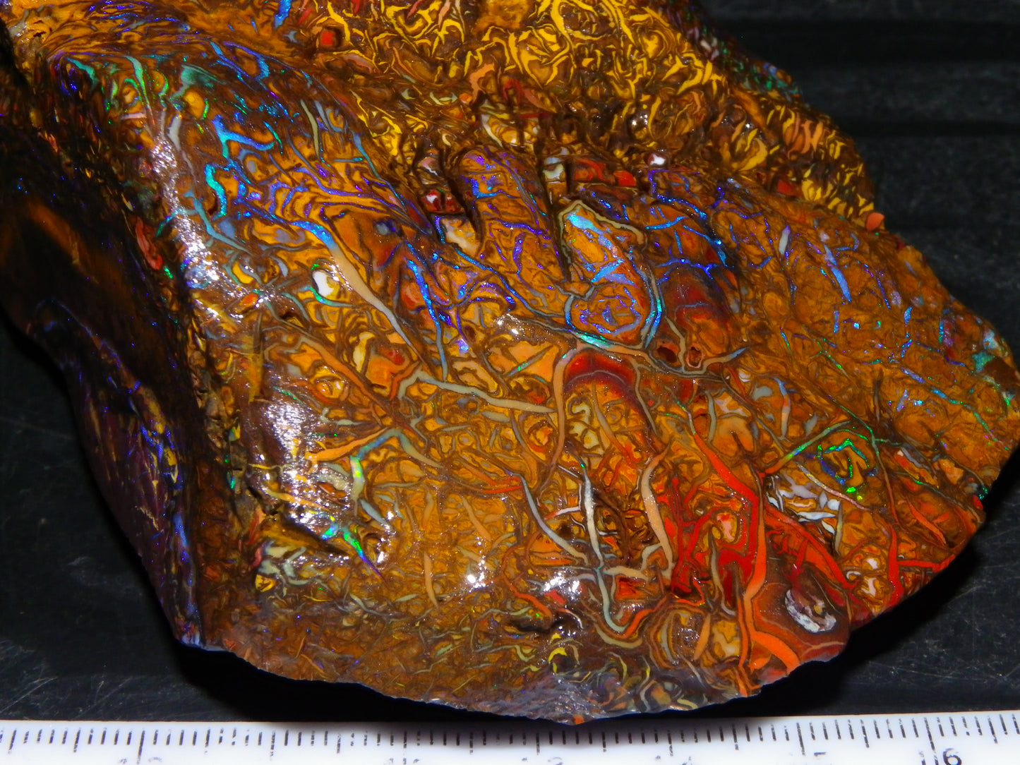 Huge, Gem Rough/Rubbed Koroit Opal Specimen 2170cts (434grams) Fires/Patterns Queensland Australia