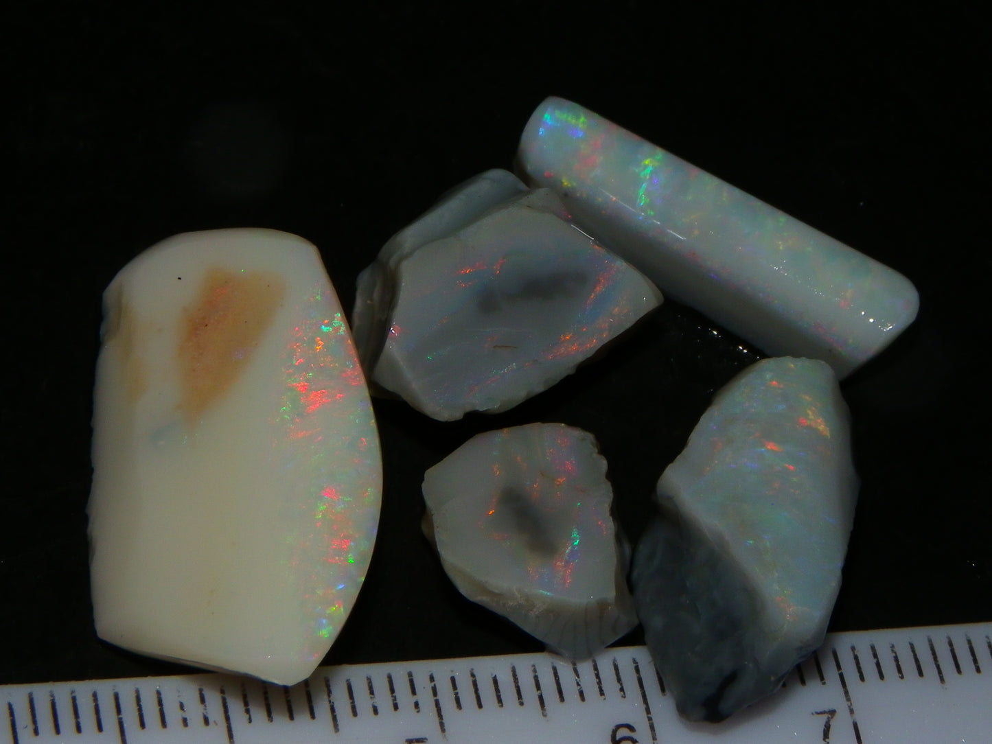 Nice Lightning Ridge Opal Grey/Light Rubs 41cts Pink/Green/Blue Fires Australia