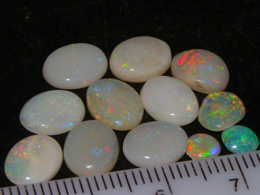 12 Cut/Polished Coober Pedy Opal Cabs 9.51cts Multicolour Fires White/Milky Base