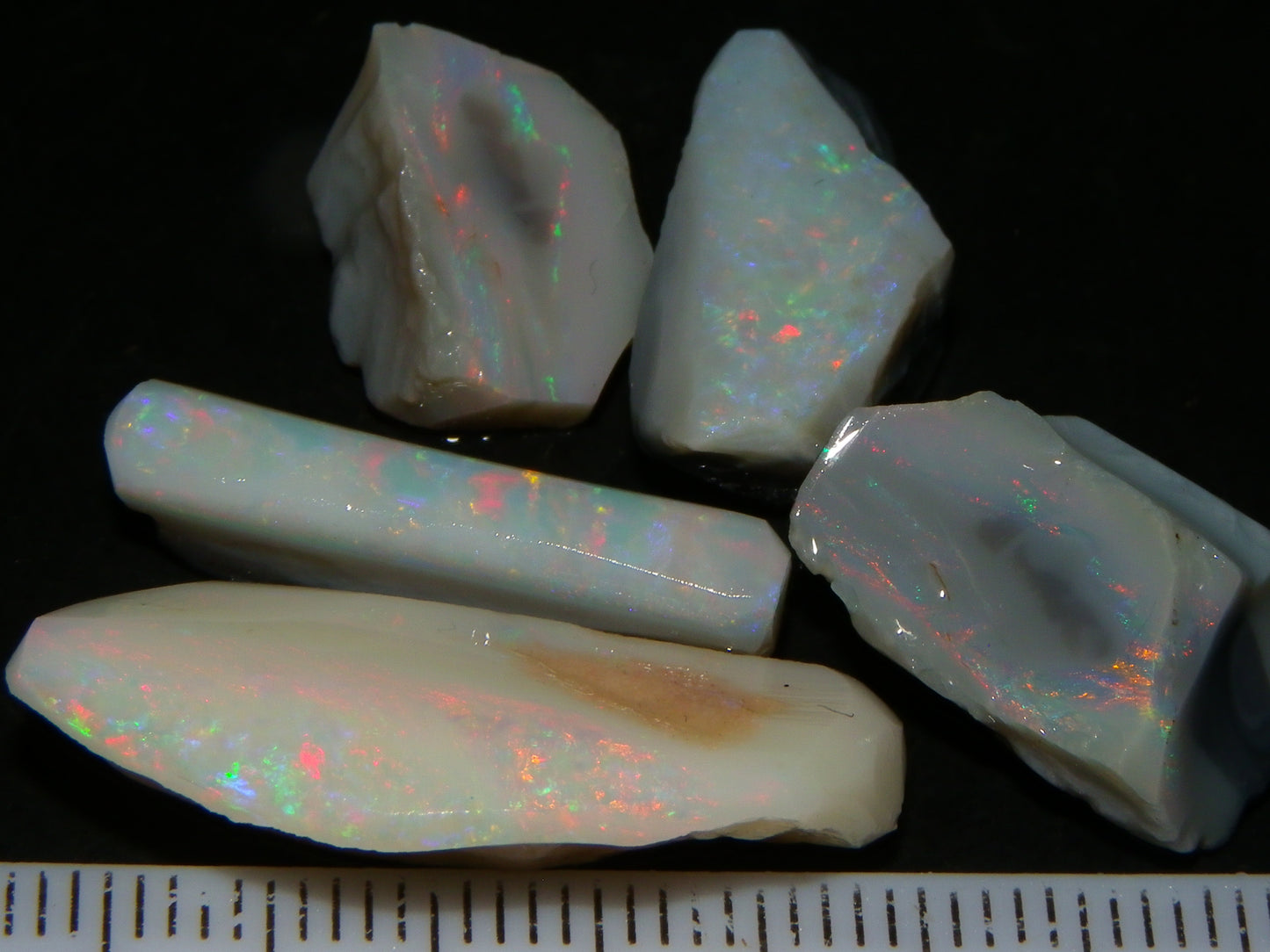 Nice Lightning Ridge Opal Grey/Light Rubs 41cts Pink/Green/Blue Fires Australia